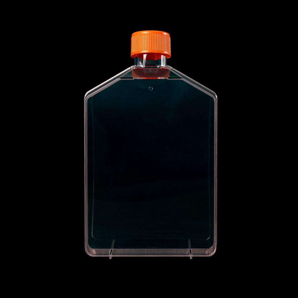 Cell Culture Flask-T175 (Vented, TC Treated) - Image 3